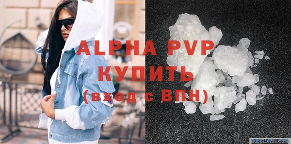 a pvp Магас
