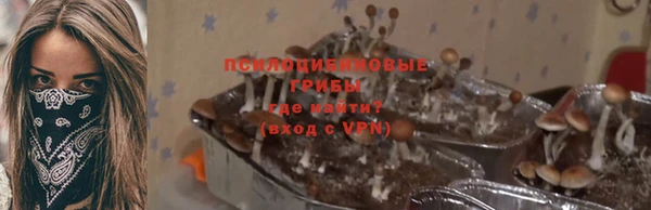 MDMA Богородск