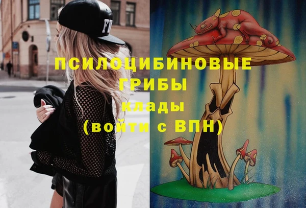 MDMA Богородск