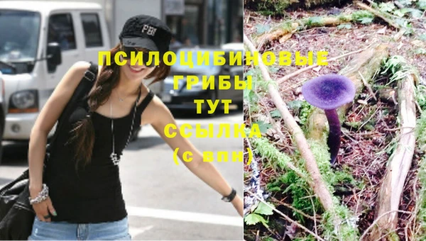 прущая мука Богородицк