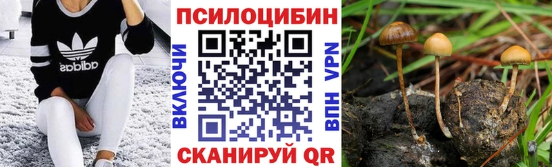 кракен рабочий сайт  Новосибирск  Псилоцибиновые грибы MAGIC MUSHROOMS 