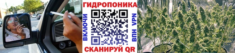 как найти наркотики  MEGA ссылки  Шишки марихуана Ganja  Новосибирск 